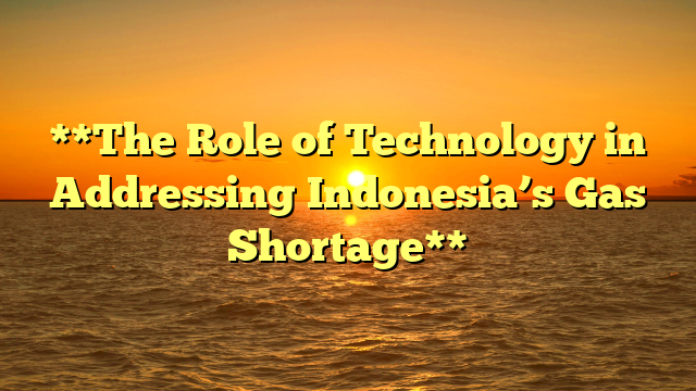 **The Role of Technology in Addressing Indonesia’s Gas Shortage**